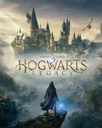 Купить Hogwarts Legacy